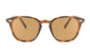 ICARIA TORTOISE