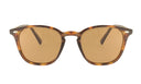 ICARIA TORTOISE
