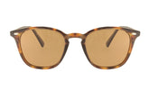 ICARIA TORTOISE
