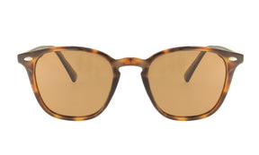 ICARIA TORTOISE